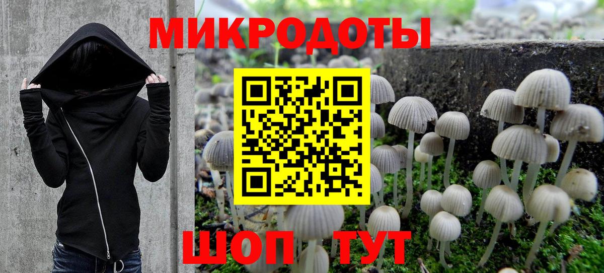 Галлюциногенные грибы Psilocybine cubensis Кемерово