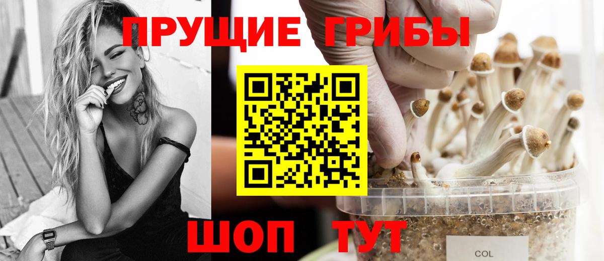 Псилоцибиновые грибы ЛСД  магазин    Кемерово  Вход с VPN 